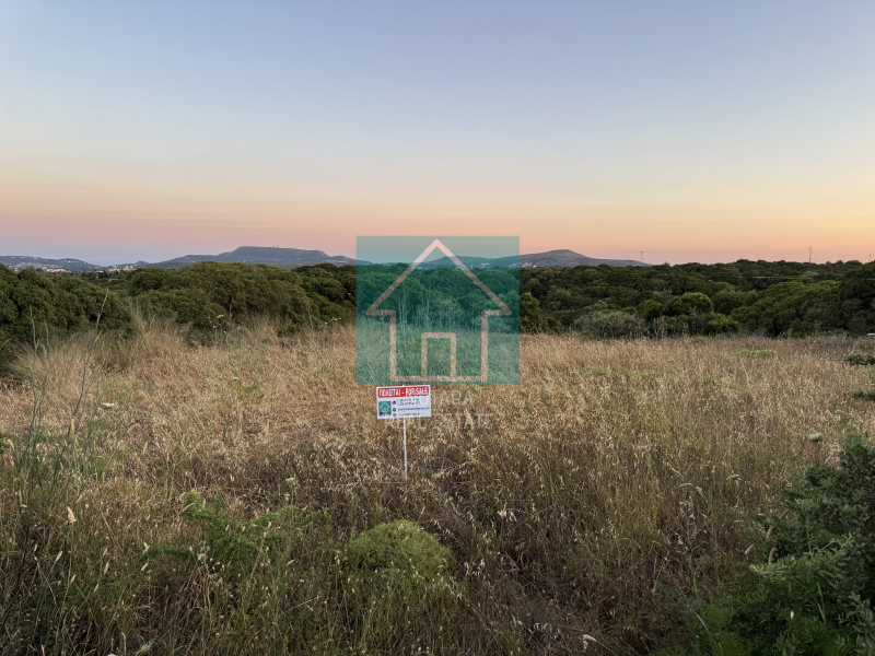 property-img